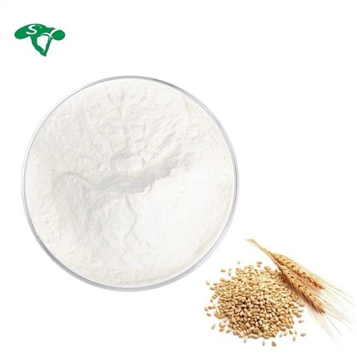 Barley Malt Extract Powder